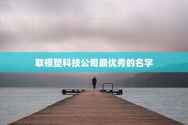 取模塑科技公司最优秀的名字