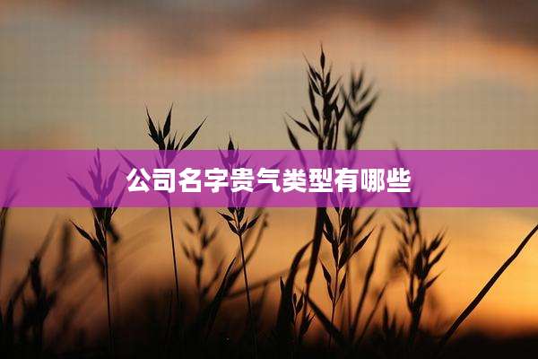 公司名字贵气类型有哪些