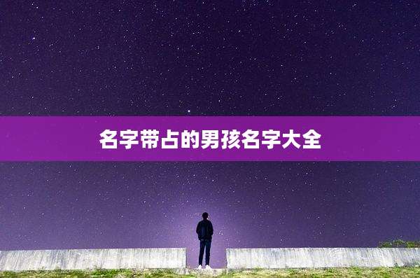 名字带占的男孩名字大全