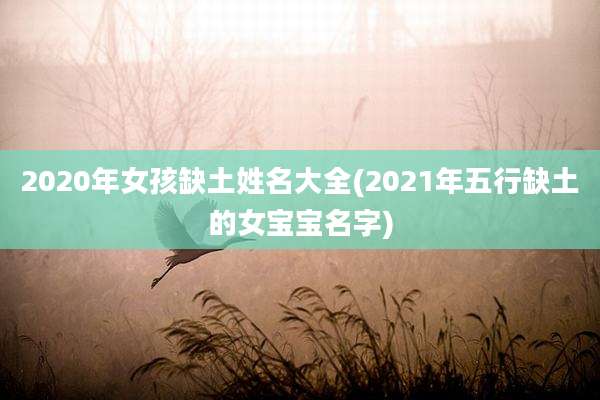 2020年女孩缺土姓名大全(2021年五行缺土的女宝宝名字)