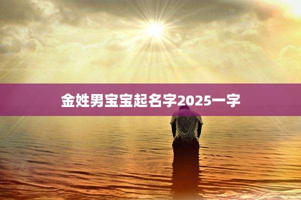 金姓男宝宝起名字2025一字