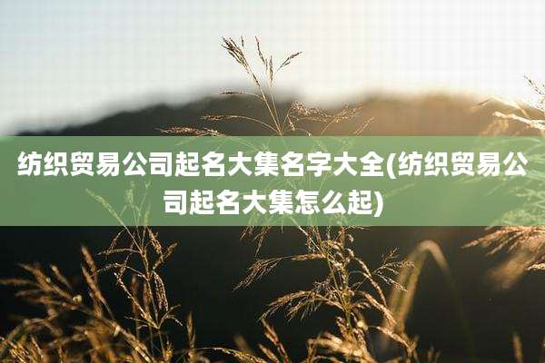 纺织贸易公司起名大集名字大全(纺织贸易公司起名大集怎么起)