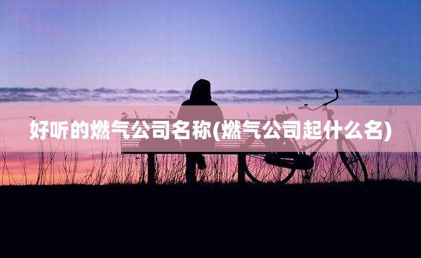 好听的燃气公司名称(燃气公司起什么名)