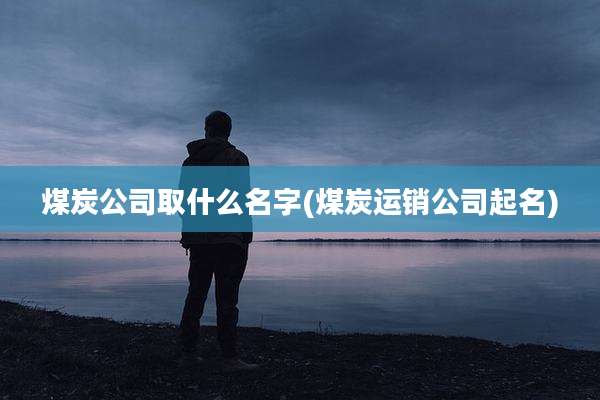 煤炭公司取什么名字(煤炭运销公司起名)