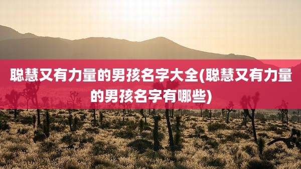 聪慧又有力量的男孩名字大全(聪慧又有力量的男孩名字有哪些)