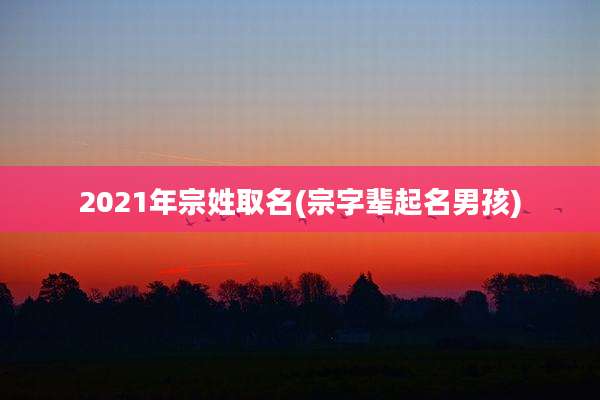 2021年宗姓取名(宗字辈起名男孩)