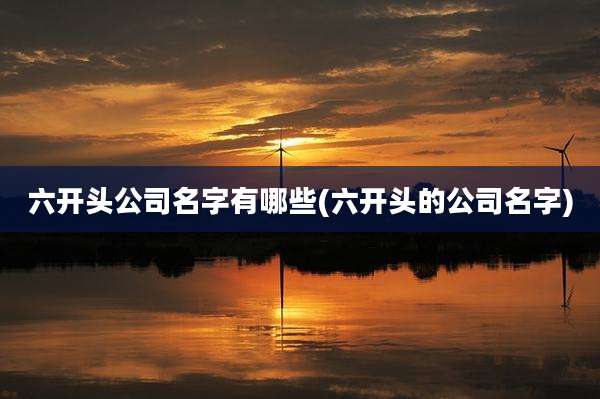 六开头公司名字有哪些(六开头的公司名字)