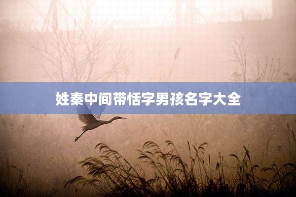姓秦中间带恬字男孩名字大全