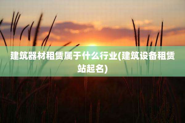 建筑器材租赁属于什么行业(建筑设备租赁站起名)