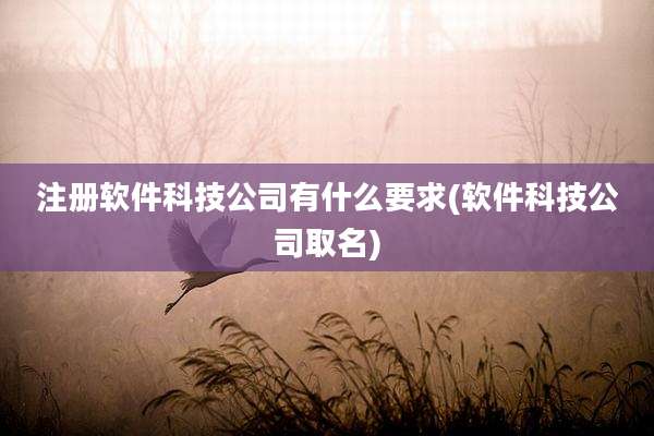 注册软件科技公司有什么要求(软件科技公司取名)