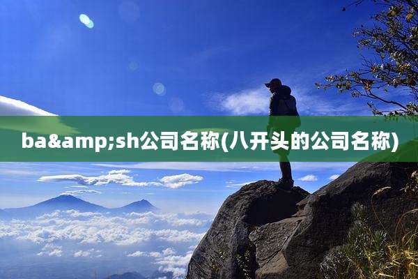ba&sh公司名称(八开头的公司名称)
