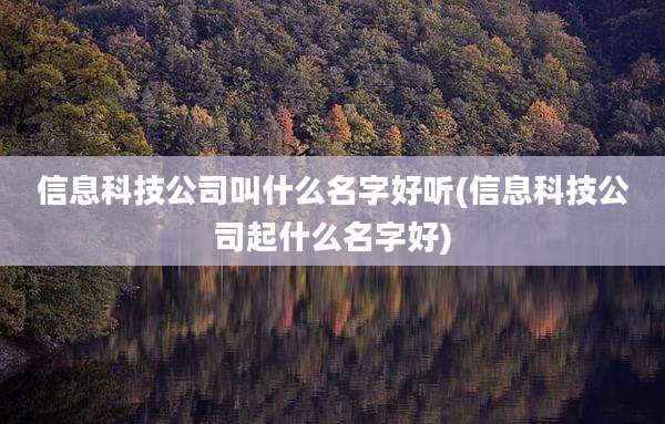 信息科技公司叫什么名字好听(信息科技公司起什么名字好)