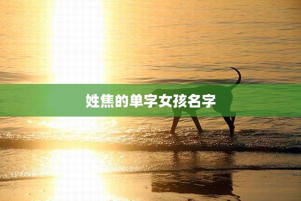 姓焦的单字女孩名字