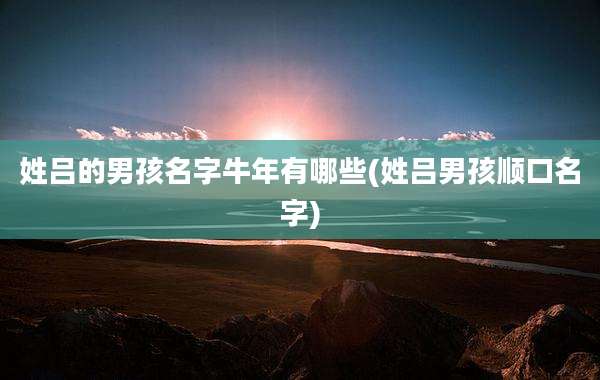 姓吕的男孩名字牛年有哪些(姓吕男孩顺口名字)