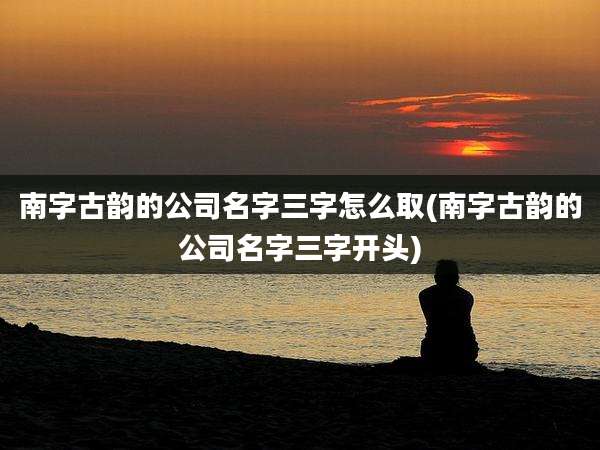 南字古韵的公司名字三字怎么取(南字古韵的公司名字三字开头)