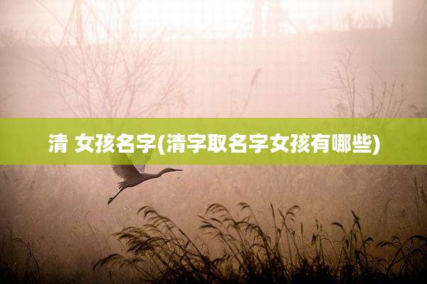 清 女孩名字(清字取名字女孩有哪些)