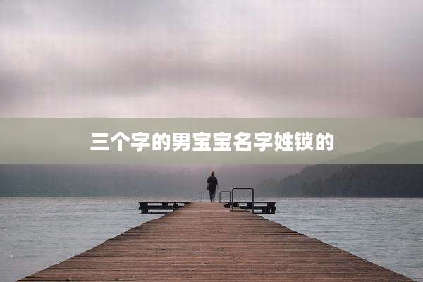 三个字的男宝宝名字姓锁的