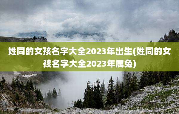 姓同的女孩名字大全2023年出生(姓同的女孩名字大全2023年属兔)