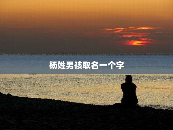 杨姓男孩取名一个字