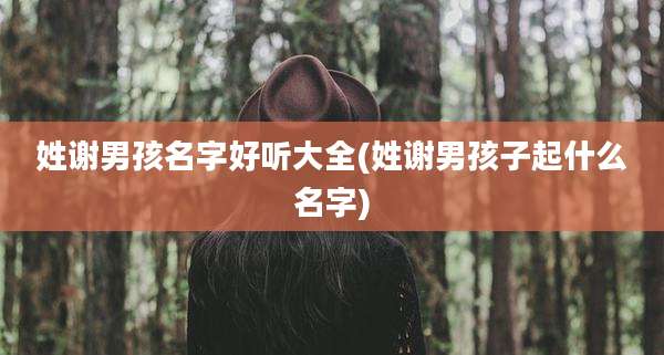 姓谢男孩名字好听大全(姓谢男孩子起什么名字)