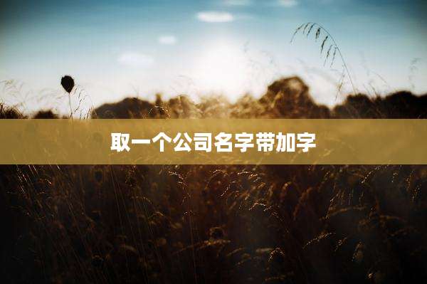 取一个公司名字带加字