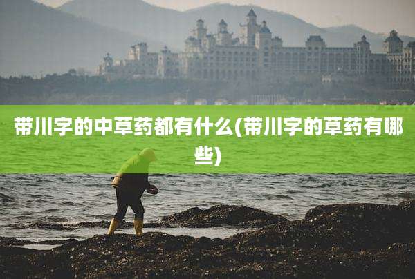 带川字的中草药都有什么(带川字的草药有哪些)