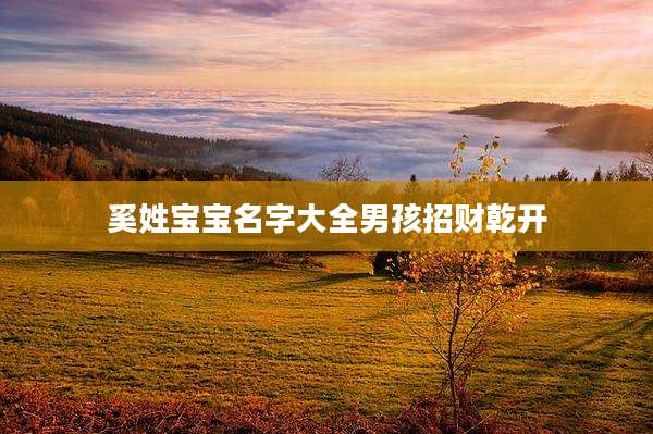 奚姓宝宝名字大全男孩招财乾开