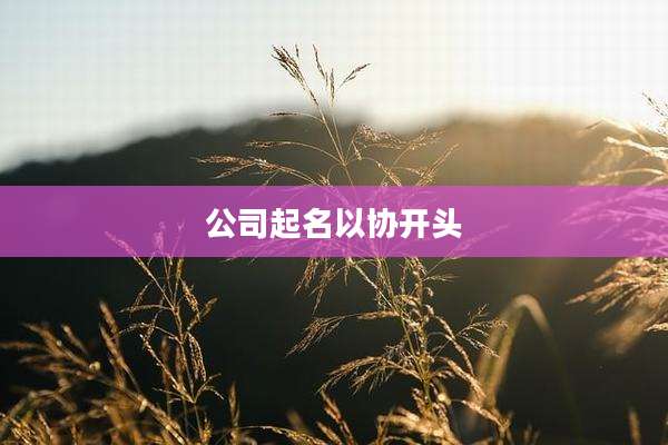 公司起名以协开头