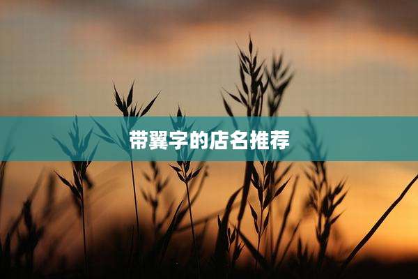带翼字的店名推荐
