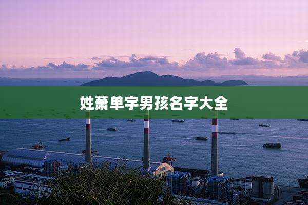 姓萧单字男孩名字大全