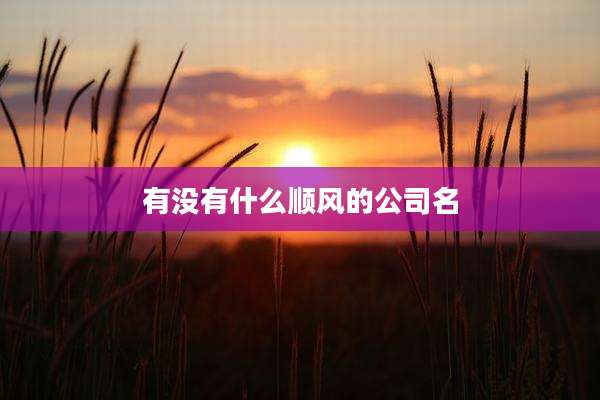 有没有什么顺风的公司名