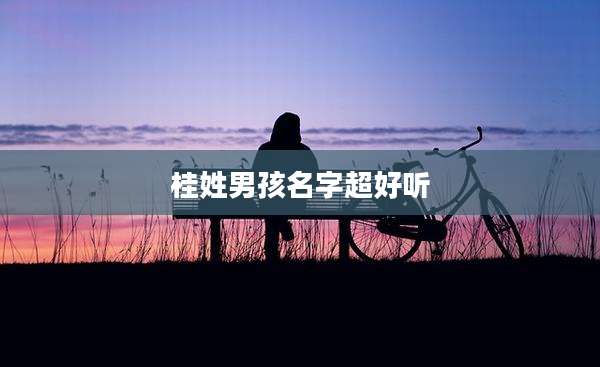 桂姓男孩名字超好听