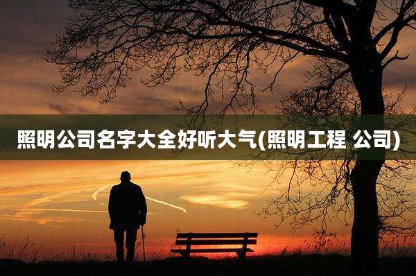 照明公司名字大全好听大气(照明工程 公司)