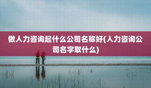做人力咨询起什么公司名称好(人力咨询公司名字取什么)