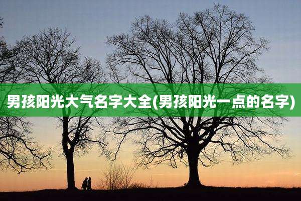 男孩阳光大气名字大全(男孩阳光一点的名字)