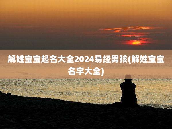解姓宝宝起名大全2024易经男孩(解姓宝宝名字大全)