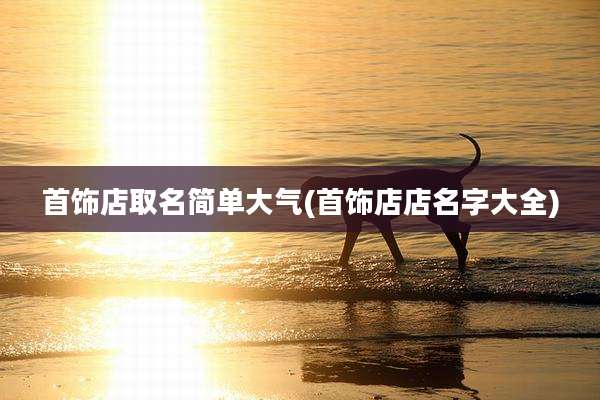 首饰店取名简单大气(首饰店店名字大全)