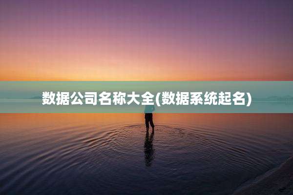 数据公司名称大全(数据系统起名)