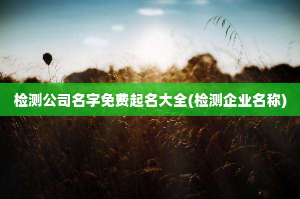 检测公司名字免费起名大全(检测企业名称)