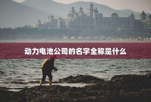 动力电池公司的名字全称是什么