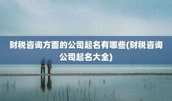 财税咨询方面的公司起名有哪些(财税咨询公司起名大全)