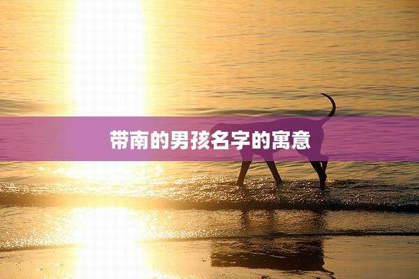 带南的男孩名字的寓意