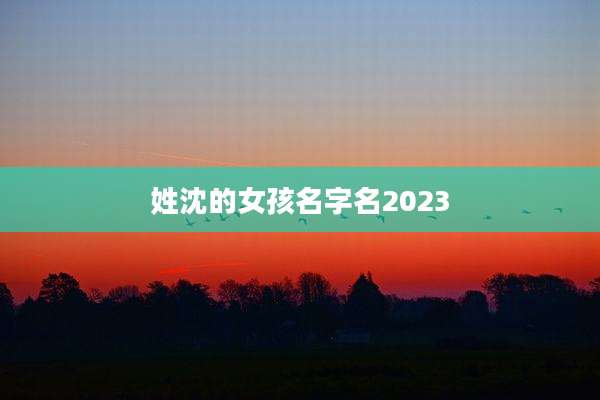 姓沈的女孩名字名2023