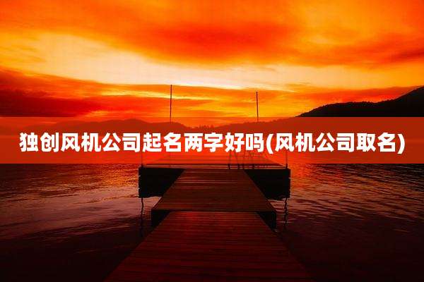 独创风机公司起名两字好吗(风机公司取名)