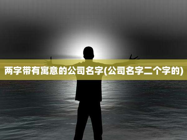两字带有寓意的公司名字(公司名字二个字的)