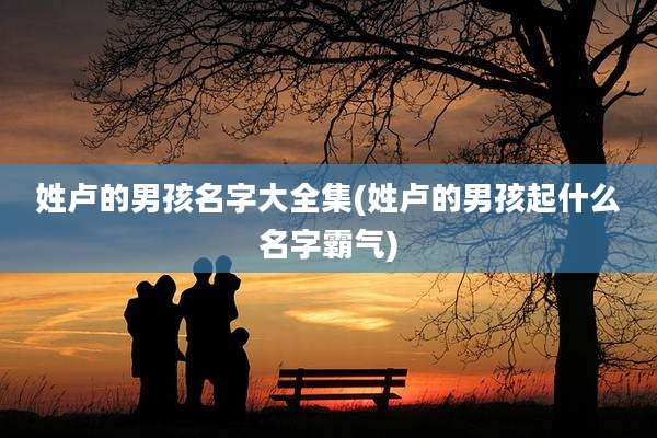 姓卢的男孩名字大全集(姓卢的男孩起什么名字霸气)