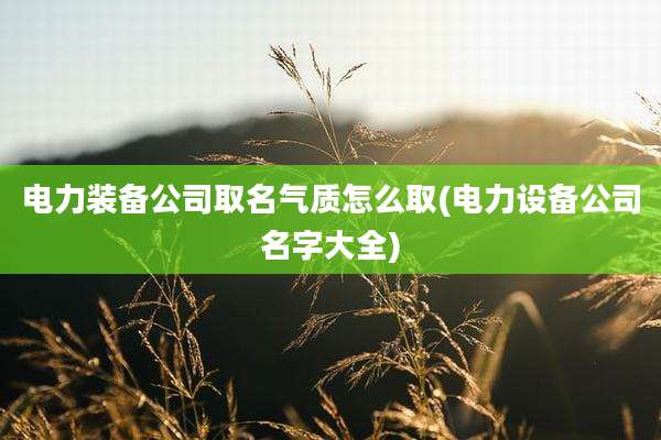 电力装备公司取名气质怎么取(电力设备公司名字大全)