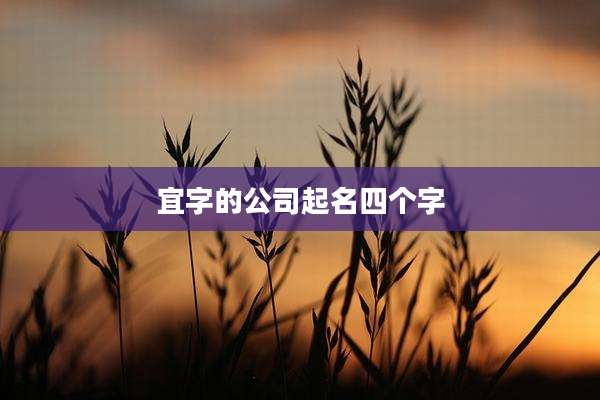 宜字的公司起名四个字