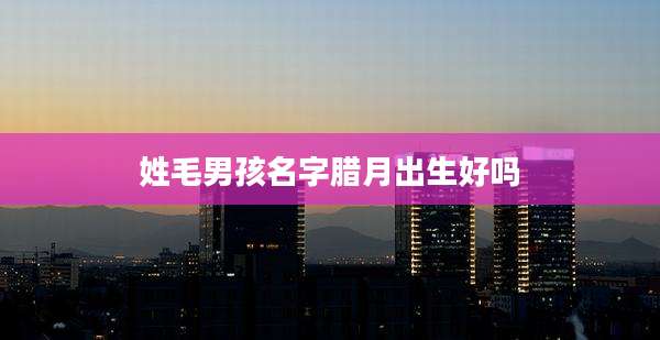 姓毛男孩名字腊月出生好吗