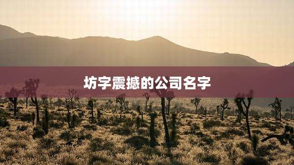 坊字震撼的公司名字